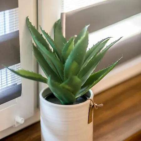 Old School 아파트